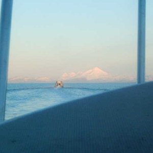 Summer Solstice 2006