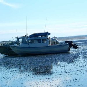 beached at low tide