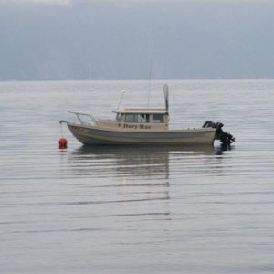 Sunny Cove in Resurrection Bay