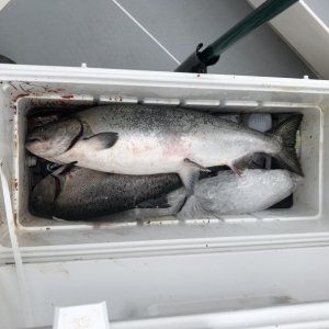 This really is a big ice chest! 8/2/2020