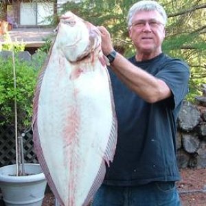 Halibut 2008 35lbs