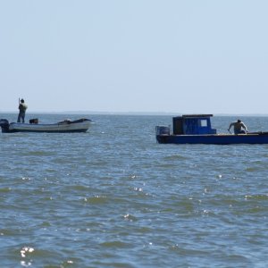 Apalachicola supplies 80% of Florida's oysters. Here are two of the oystermen.