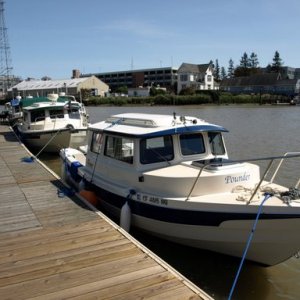 P5140722.JPG