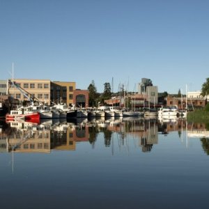 Morning in Petaluma Harbor