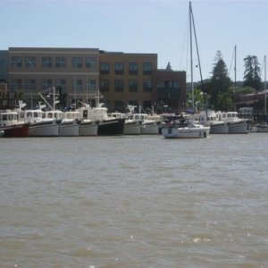 Nordic Tugs at Petaluma