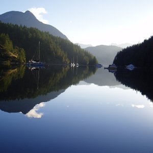 View from the head of Roscoe Bay