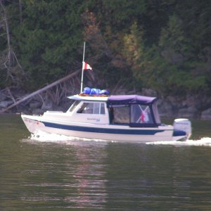 (Pat Anderson) Bambina Running 9-12-05
