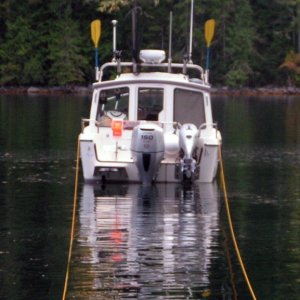 (Pat Anderson) Anita Marie's Stern Tie Prideaux Haven 9-13-05