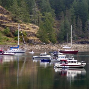 (Pat Anderson) Boats at Roscoe Cove 9-15-05
