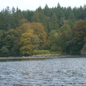 (TwoLuckyFish) Fall Already?