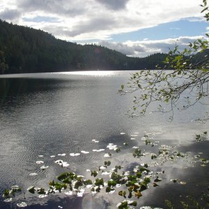 Black Lake, a 4 minute hike from the mouth of Roscoe Bay