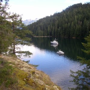 Morning in Roscoe Bay