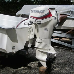 Evinrude ETEC 40 on Livingston 14