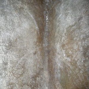 Looking straight down the access hole and at the inside of the stem.