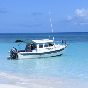 Media 'Snorkeling day at one of the cays' in album 'My ?new? (to me) cruiser!'