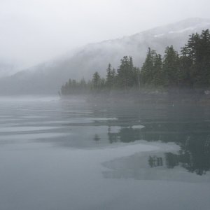 Near the head of Pigot Bay