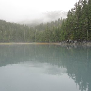 July 28, 2012. Head of Pigot Bay. Salmon stream in center.