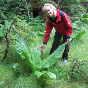 Media 'Never seen these plants before.  Like from Jurassic Park.' in album '7/28/2012'