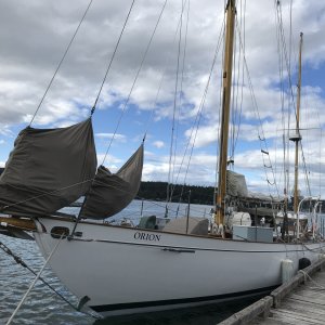 2 - Coronet Bay - Orion Sailing Ship