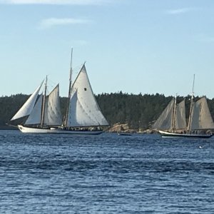 4 - Friday Harbor - 2 Schooners