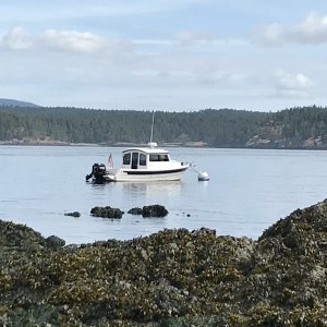 10 - Turn Island - Low Tide