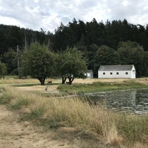14 - English Camp