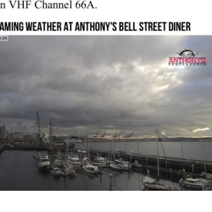 Anthonys live cam