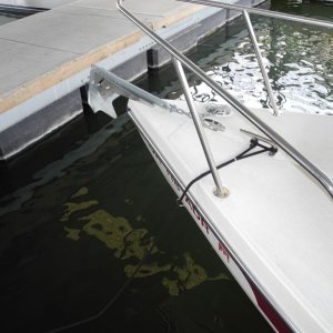 C-dory_030.JPG