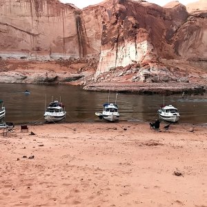 Forgotten Canyon. Constant Craving, Discovery, Outlier and Midnight Flyer