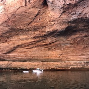 Outlier in a Cavern in Lost Eden Canyon
