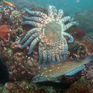 IMG 4898