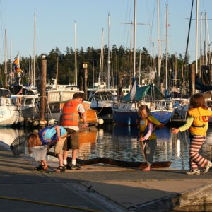great honest fun on the docks