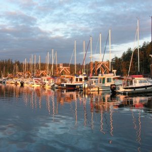 Media 'By the dawn's early light.' in album 'C-Dawg arrives Friday Harbor on Saturday'