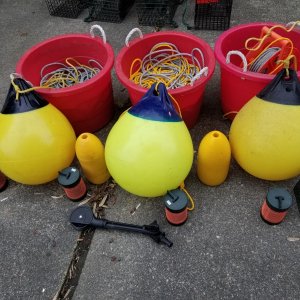 shrimp gear-2