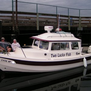 (Pat Anderson) Two Lucky Fish