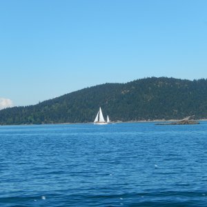 A graceful yawl passing ahead of See-Saw on the way to Friday Harbor