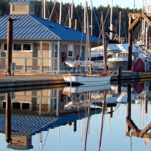 A small sailboat among the reflections in Friday Harbor Marina