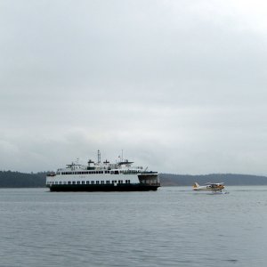A Washington State ferry with a seaplane coming in ahead of it