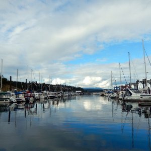 C-Dories docked (on the left) at Friday Harbor Marina for the gathering, 
along with other boats on the right