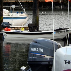 The smallest C-Dory is NOT 
a 16' like See-Saw, 
but a 12' open dory from several years ago