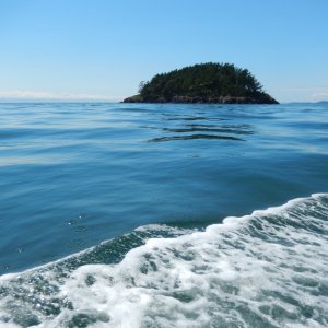 Allan Island and the wake of See-Saw