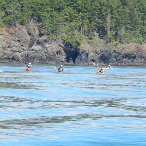 Sea kayakers play near Deception Pass, 
the passage between Fidalgo Island and Whidbey Island