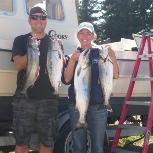 early season coho