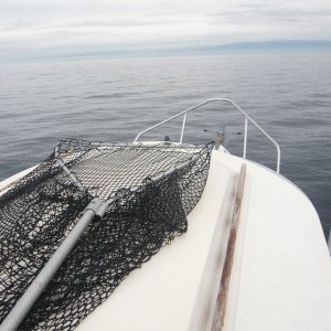 cruising on the lake of an ocean
