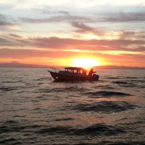 king fishing the San Juans