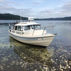 beached in hood canal