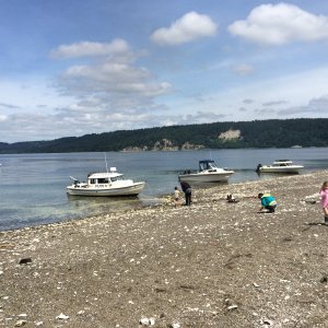 beached boats