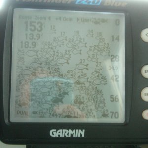 I should take up fishing! Although other boaters said fishing was poor due to all the rain.
