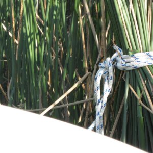 Close up of Tule tie.