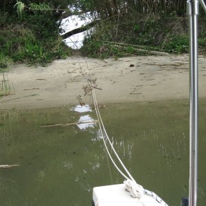 Media 'Okay, the water is brownish green, and the sand is not white, but there is bamboo and  it is out of the wind.' in album 'Last Weekend in May. I launched on the far side of Frank's Tract Friday morning.'